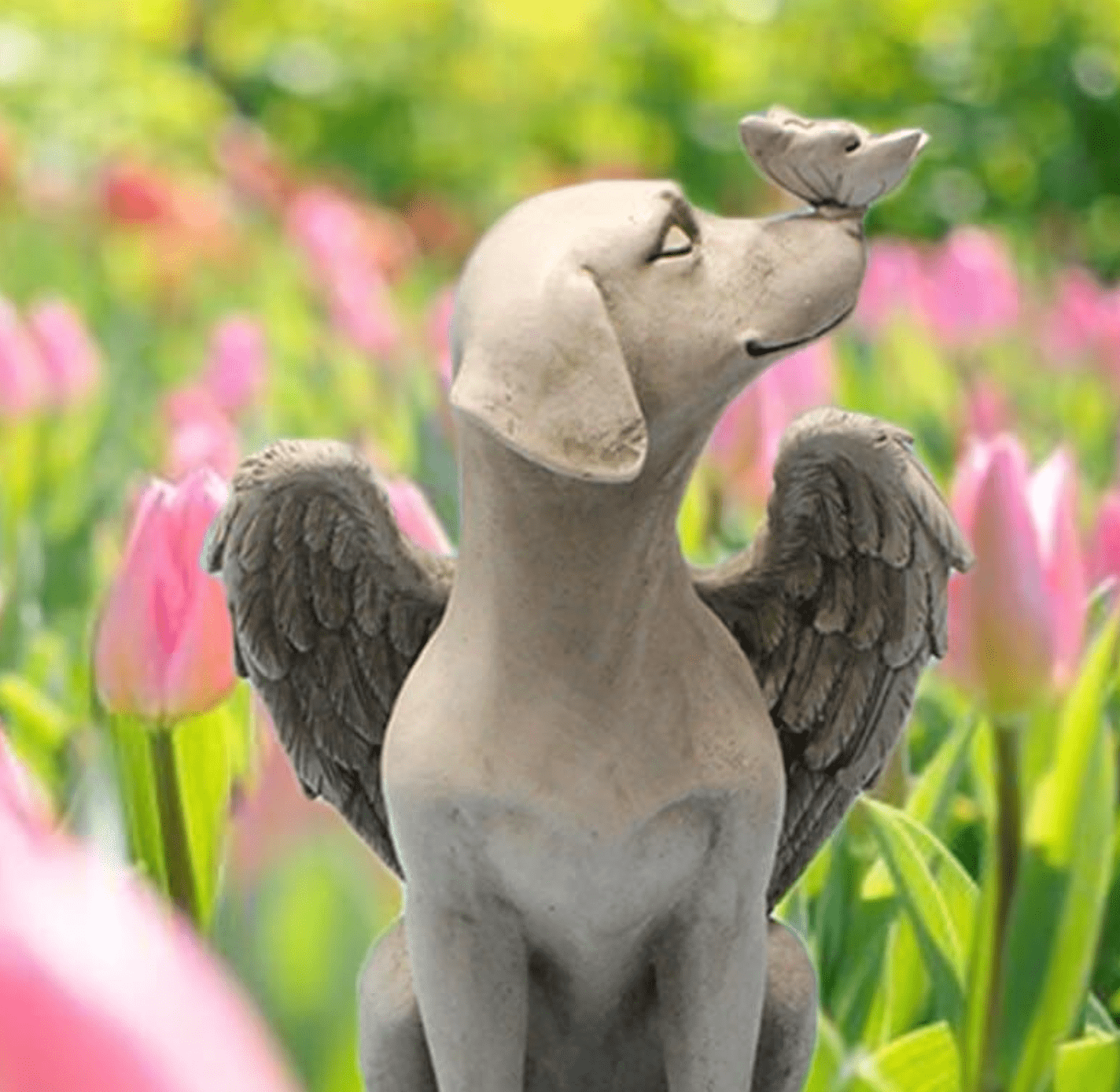 Angel Dog - Outdoor Statue | Handcrafted by Divina